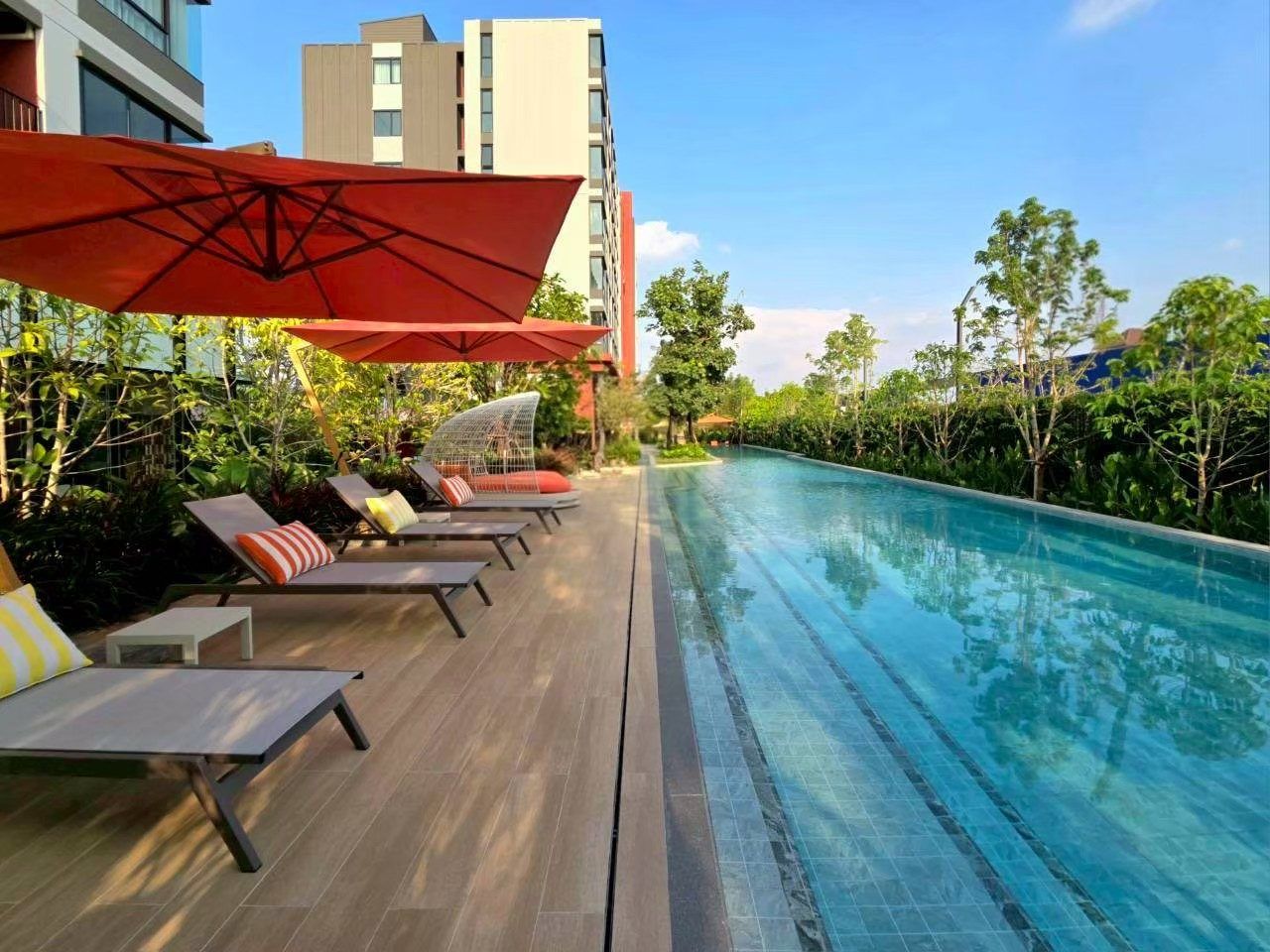 dcondo Vivid Rangsit คอนโดตรงข้าม ม.กรุงเทพ ข้ามสะพานลอย = ถึงมหาลัย พร้อมอยู่! โทร 061-616-1426 รูปที่ 7
