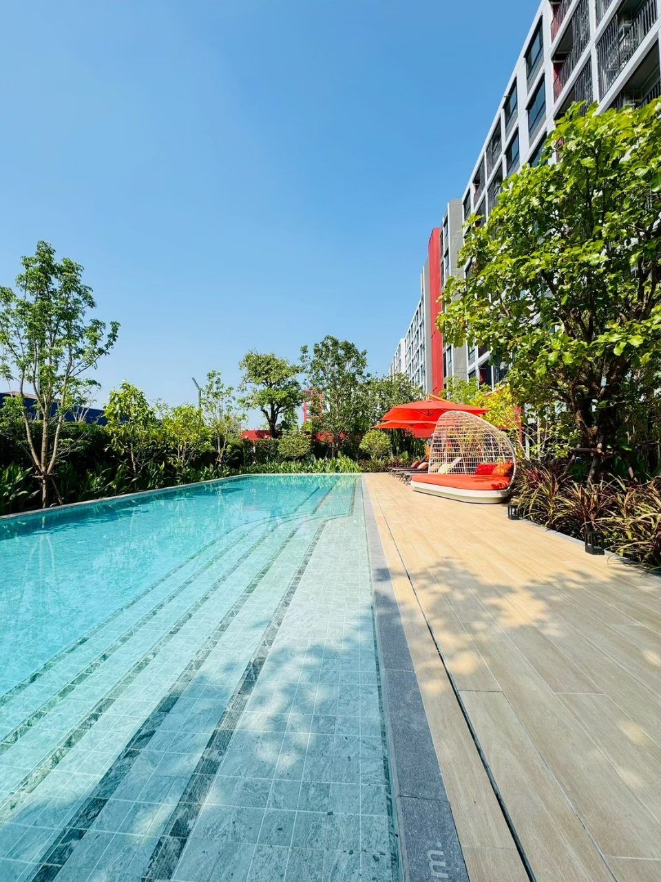 dcondo Vivid Rangsit คอนโดตรงข้าม ม.กรุงเทพ ข้ามสะพานลอย = ถึงมหาลัย พร้อมอยู่! โทร 061-616-1426 รูปที่ 8