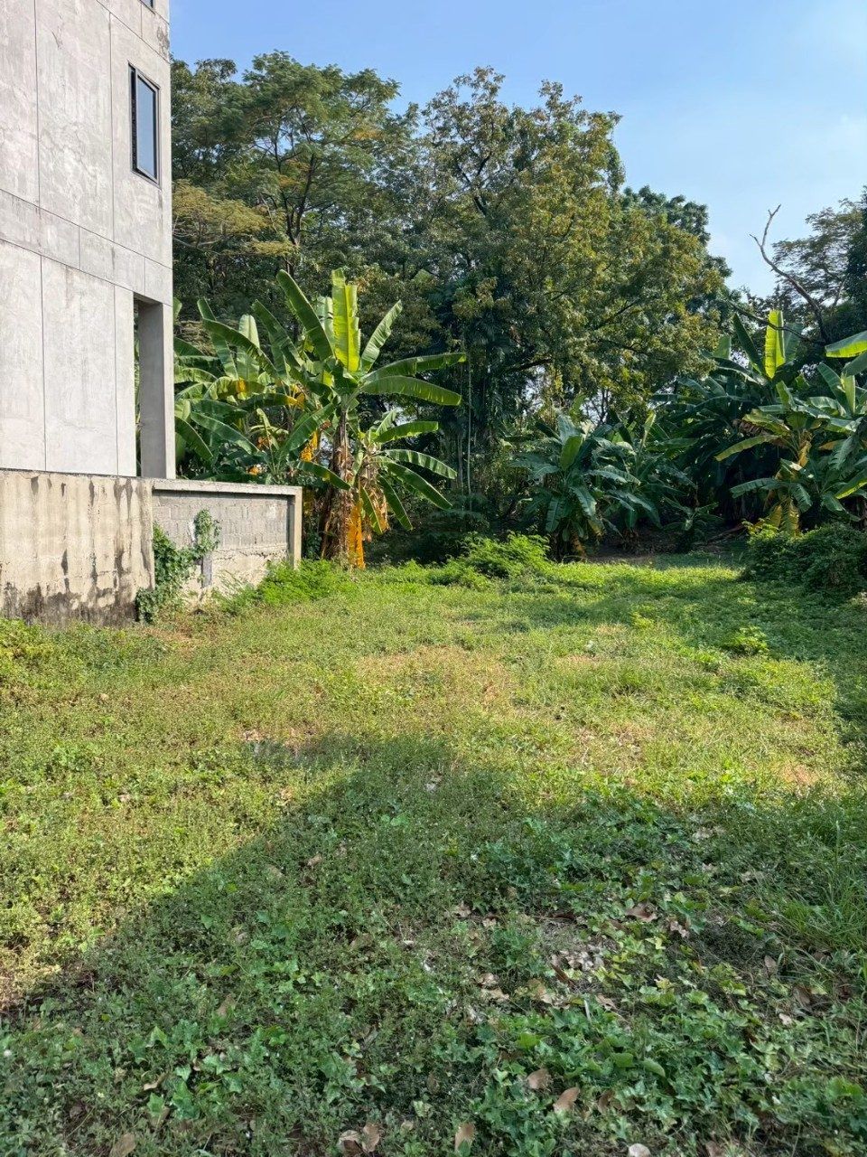 รูปที่ 2
