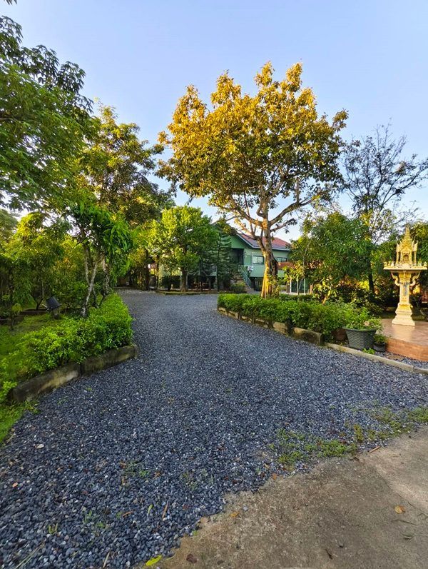 ขายบ้านสวน พร้อมที่ดิน รวม 3 ไร่ บึงกาสาม อ.หนองเสือ จ.ปทุมธานี น้ำไม่ท่วม เจ้าของขายเอง โทร.086-7777215 รูปที่ 13