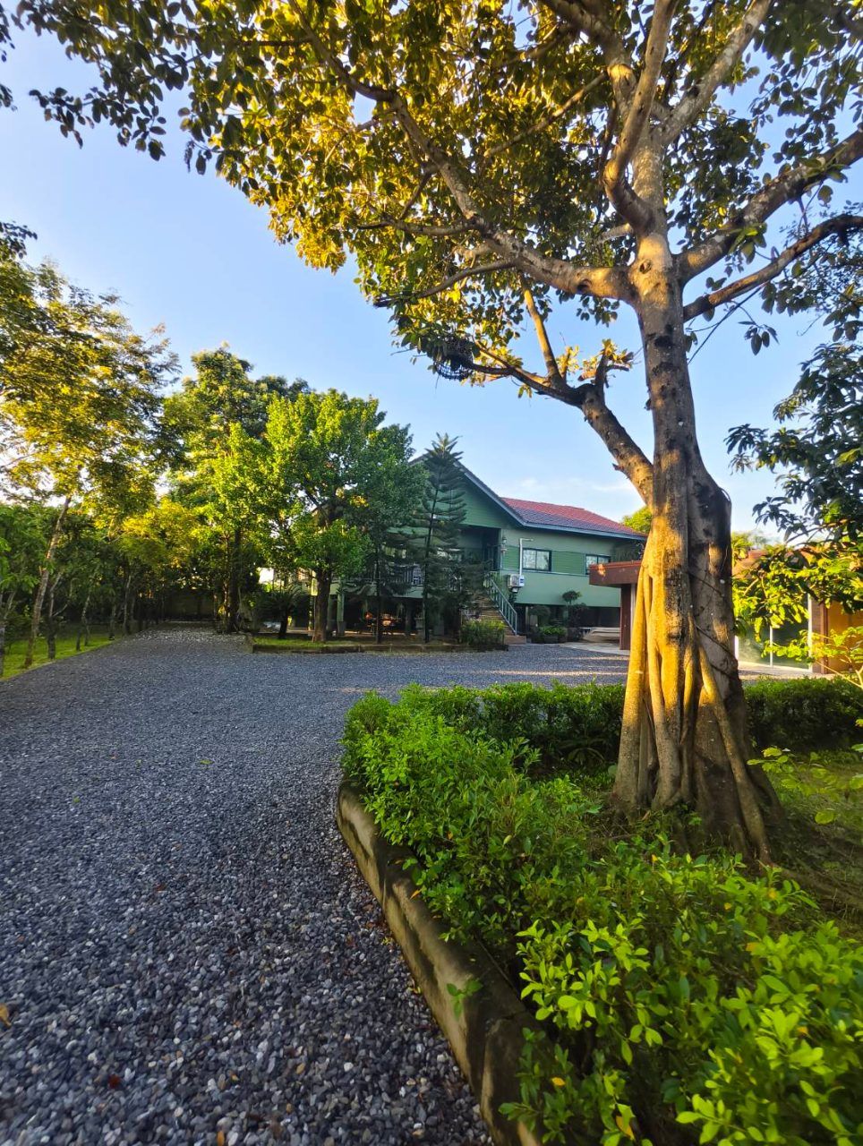 ขายบ้านสวน พร้อมที่ดิน 3 ไร่ อ.หนองเสือ จ.ปทุมธานี น้ำไม่ท่วม พร้อมเข้าอยู่ โทร 086-7777215 เจ้าของขายเอง