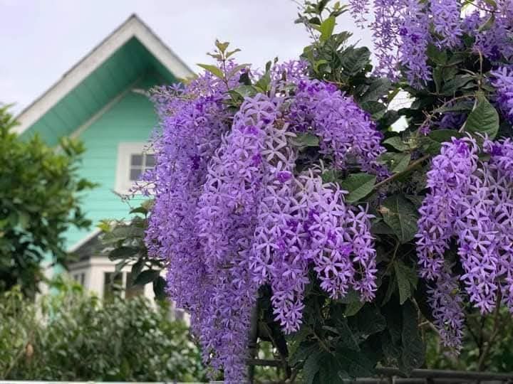 รูปที่ 2