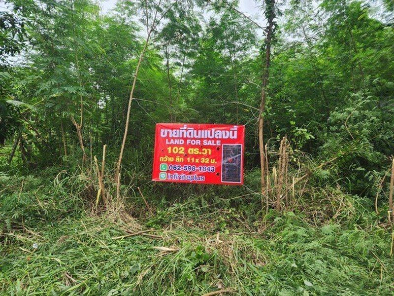 61ที่ดินคุณหนมคอลสามสิบเอ็ดทับสาม ขาย ที่ดิน - ปทุมธานี    คลองหลวง    102 ตร.วา
