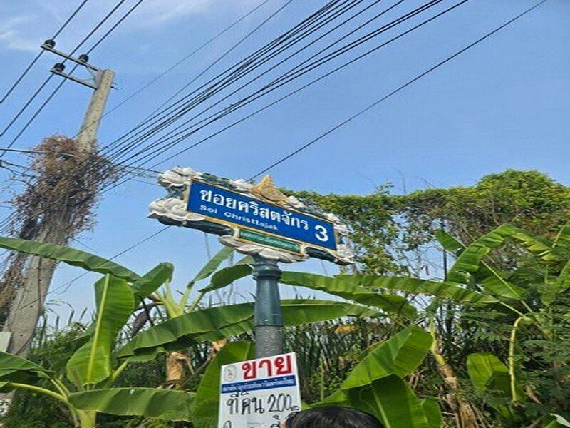 ขาย ที่ดิน - 200 ตารางวา ใกล้กับ โรงเรียนปทุมวิไล ศาลากลางปทุมธานี โลตัสปทุมธานี โรงพยาบาลปทุมธานี อยู่ย่านใจกลางเมืองปทุม เขตชุมชน ปทุมธานี    23000 บาท
