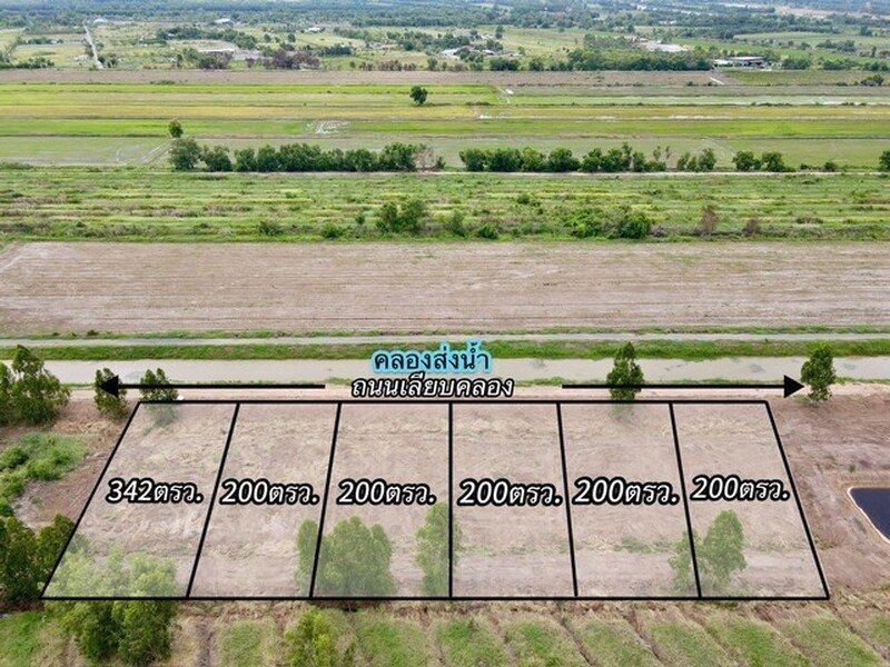 ที่ดินคลอง9หนองเสือ ติดถนนเลียบคลองระพีพัฒน์ 200 ตรว. 5.8แสนเท่านั้น T. 086-301-6161 เหมาะทำบ้านสวนเกษตร บึงชำอ้อ หนองเสือ ปทุมธานี