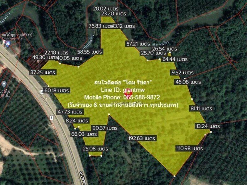 พื้นที่ดิน ที่ดิน ทุ่งมะพร้าว อ.ท้ายเหมือง จ.พังงา  พ.ท. 14623 Square Wah 91396250 BAHT.   เดินทางสะดวก พังงา