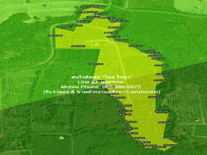 พื้นที่ดิน ขายที่ดินสวนผลไม้ปลอดสารพิษ (Organic) อ.ประจันตคาม จ.ปราจีนบุรี 57-0-90.4 ไร่, ราคา 57 ล้านบาท 22890 ตร.ว.  57000000 - ออกแบบลงตัว ปราจีนบุรี
