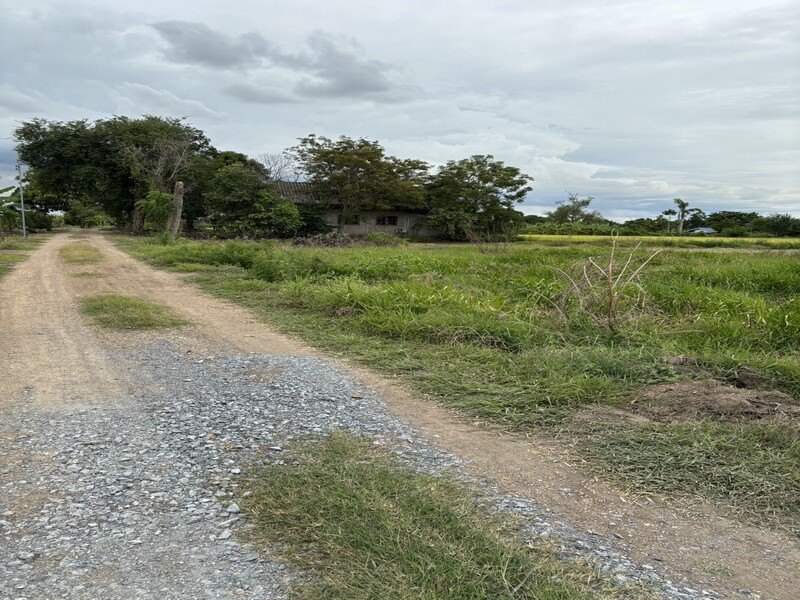 รูปที่ 2