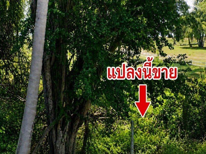 ที่ดินติดทะเลประจวบฯ บ่อนอก ติดทั้งถนนและทะเล ทำเลดี ราคาถูก