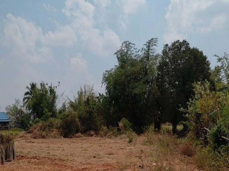 รูปที่ 2