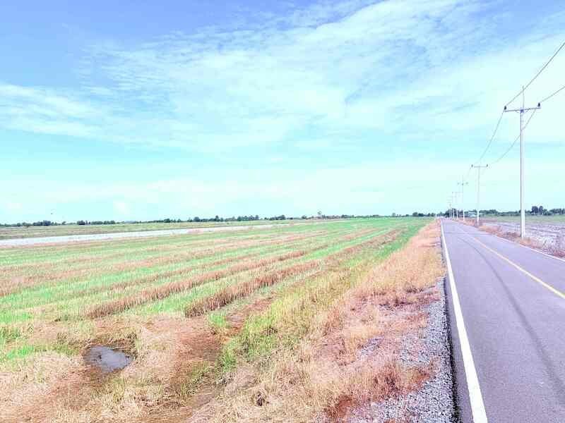 ขายที่ดินเปล่า ขนาดใหญ่ ราคาดี ทำเลบางเลน จ.นครปฐม