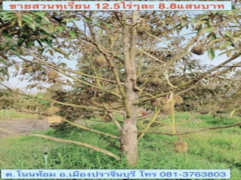 รูปที่ 2