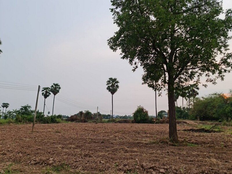 รูปที่ 2