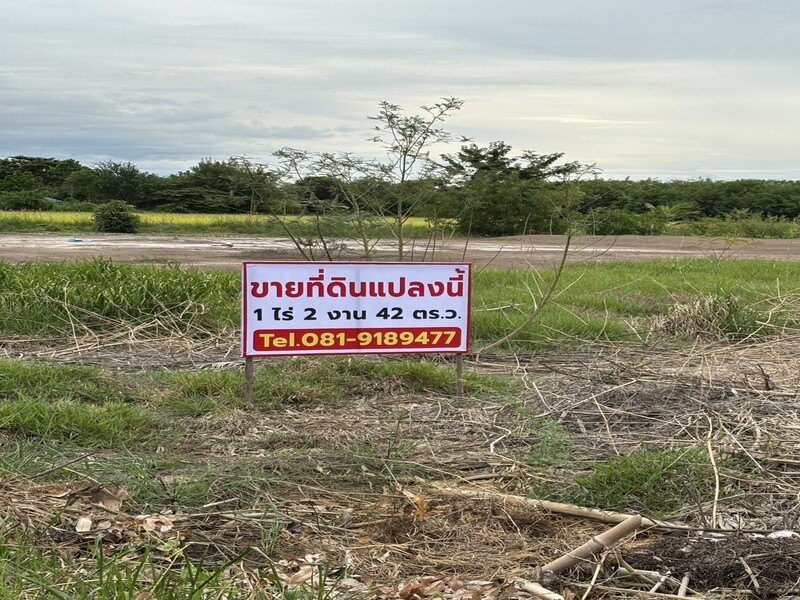 ขายที่ดินถมแล้ว เจ้าของขายเอง ทำเลดีติดถนนซอย 2 ฝั่ง พระนครศรีอยุธยา