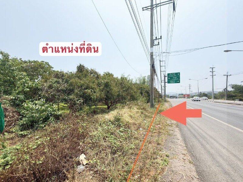ที่ดินสวนลำไย ติดถนนใหญ่และแม่น้ำทา เดินทางสะดวก เนื้อที่ 3 ไร่ 262.1 ตรว ต.ม่วงน้อย อ.ป่าซาง จ.ลำพูน