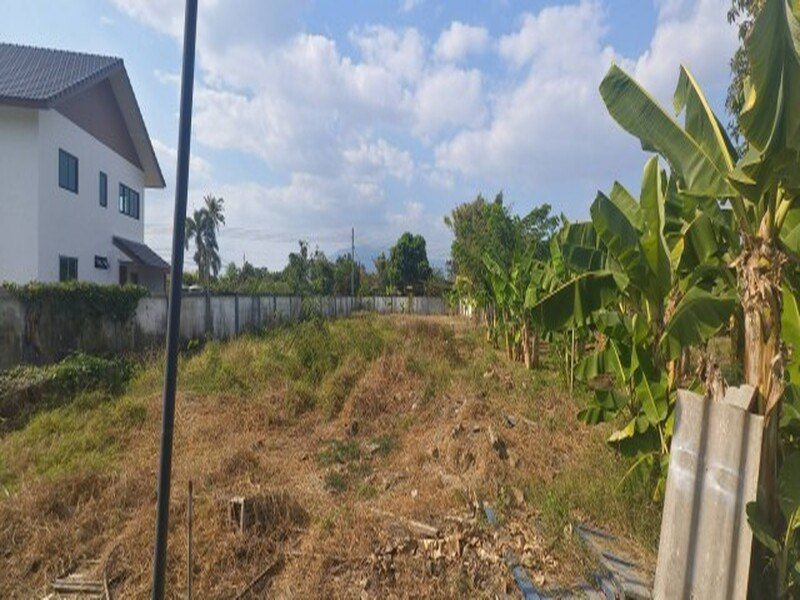ขายที่ดินพร้อมหอพัก อำเภอสารภี เชียงใหม่ เนื้อที่ 3 ไร่ 3 งาน 40 ตร.วา