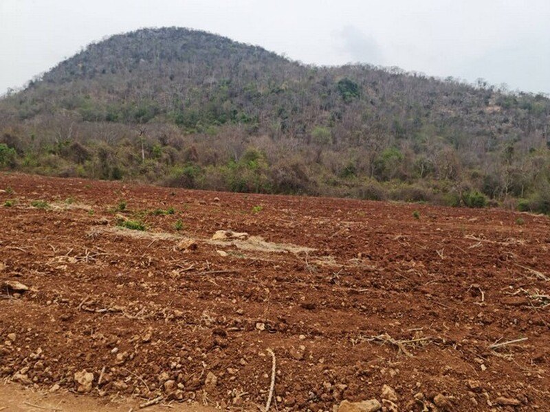 รูปที่ 2