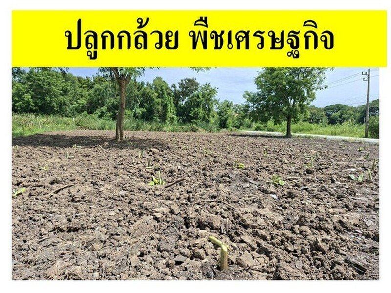 ขายที่ดินเปล่าแปลงมุม ถมแล้ว ซอยเทคโนโลยีแหลมทอง ทำเลศักยภาพ อำเภอเมืองปทุมธานี