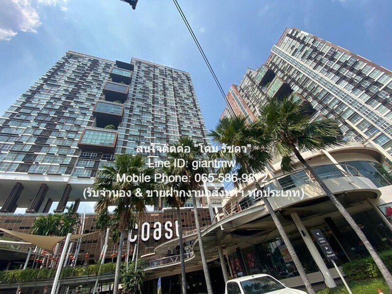 condo. เดอะ โคสต์ แบงค็อก The Coast Bangkok 36ตรม 1 Bedroom 1 ห้องน้ำ 19000 บาท ราคาไม่แรง กรุงเทพ