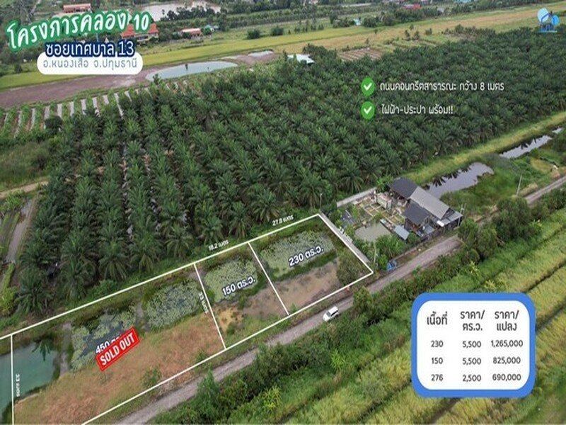 ขายที่ดินคลอง 10 ซอยเทศบาล 13 หนองเสือ ปทุมธานี 230 ตารางวา ไฟฟ้าประปาพร้อม เหมาะสร้างบ้านสวนหรือซื้อเก็บ