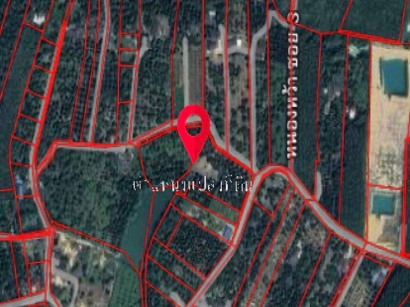 ขายที่ดิน พร้อมสวนทุเรียน มังคุด จังหวัดระยอง 5 ไร่ 1 งาน 31 ตร.ว. ใกล้เมืองระยอง ใกล้ทะเลเพียง 10 นาที