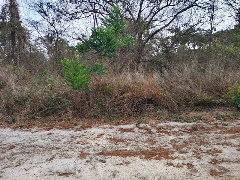 รูปที่ 2
