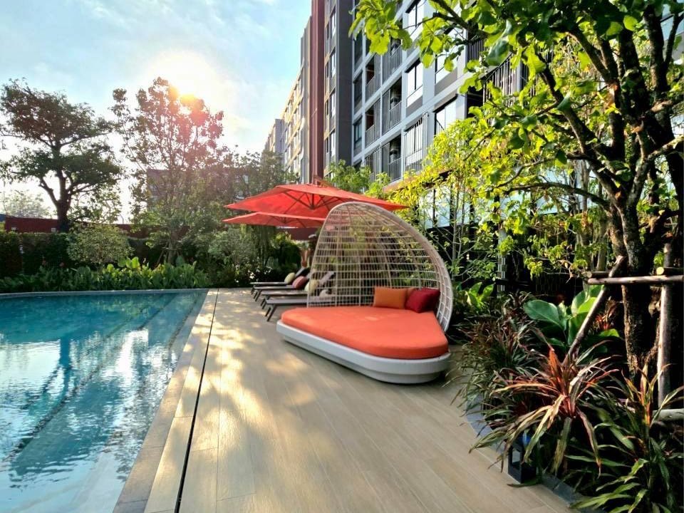 ขายคอนโดใหม่ dcondo Vivid Rangsit ใกล้ ม.กรุงเทพ รังสิต ปทุมธานี พร้อมอยู่ โทร 0654496399