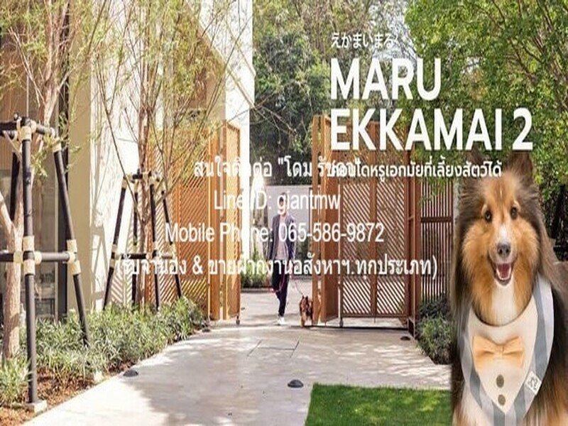 รหัส  DSL-410.1 SALE คอนโด. มารุ เอกมัย 2 Maru EKKAMAI 2 2 นอน 2 น้ำ 12500000 บ. ใกล้ BTS เอกมัย BIG SALE!!