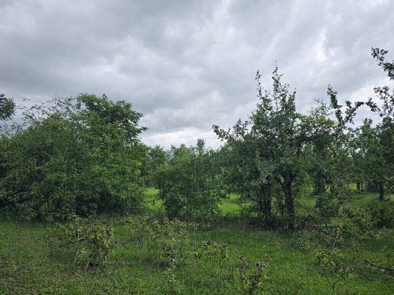 ขายที่ดิน ประจวบคีรีขันธ์ 5 ไร่ ต.อ่าวน้อย ใกล้ถนนหลักเพชรเกษม