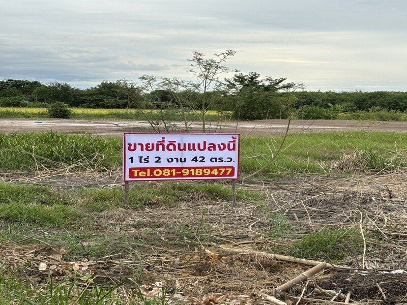 ขายที่ดินถมแล้ว เจ้าของขายเอง ทำเลดีติดถนนซอย 2 ฝั่ง พระนครศรีอยุธยา