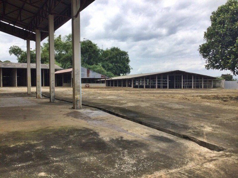 รูปที่ 2
