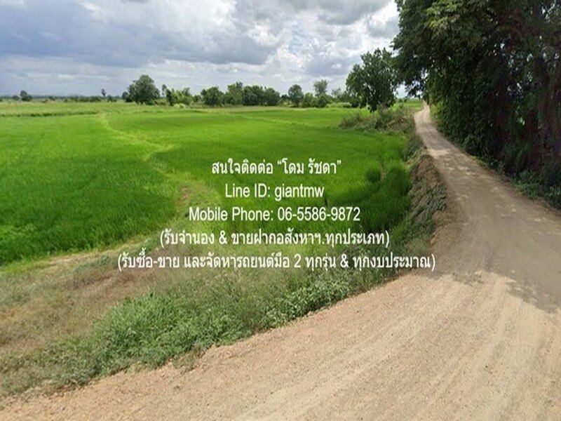 พื้นที่ดิน //ต่ำกว่าราคาประเมิน//ขายที่ดินทุ่งนาข้าว อ.นครหลวง จ.พระนครศรีอยุธยา 17-0-76 ไร่ พื้นที่เท่ากับ 6876 ตรว. 2800000 บาท ใกล้ วัดร้อยไร่ และสำนักงานเทศบาล ตำบลอรัญญิก DEAL!! อยุธยา
