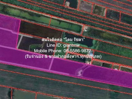 ที่ดิน ขายที่ดินทุ่งนา 103-0-44 ไร่ ศรีจุฬา อ.เมืองนครนายก นครนายก ราคา 31 ล้านบาท  ราคาถูกเหลือเชื่อ!