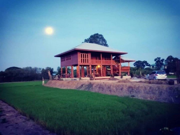 รูปที่ 2