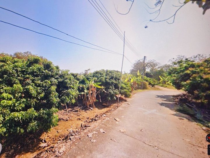 ขายที่ดินเปล่า 310 ตรว. ติดถนนพหลโยธิน อ.วังน้อย อยุธยา