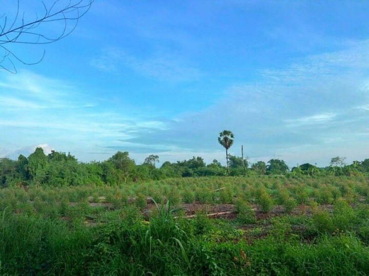 รูปที่ 2