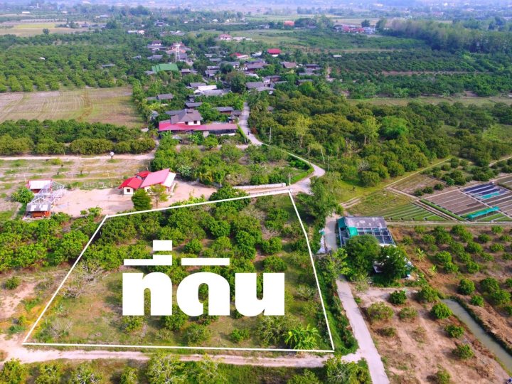 ขายที่ดินแบ่งจัดสรรเริ่ม 200ตรว. 480,000บ. ถนนคอนกรีต ไฟฟ้า ประปา เพื่อนบ้าน ต.ทุ่งปี้ อ.แม่วาง เชียงใหม่