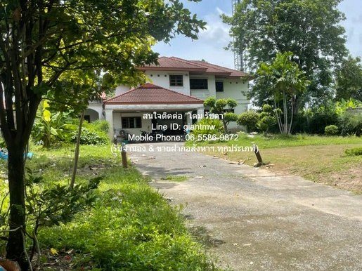 บ้าน บ้านหรู 2 ชั้น (ตามสภาพ) พร้อมที่ดิน 336 ตร.ว. ติดทะเลสาบ และสนามกอล์ฟ ม.เมืองเอก รังสิต (ใกล้สนามบินดอนเมือง) 4Bedroom4Bathroom 336 Square Wah 80000 บ. ใกล้ มหาวิทยาลัยรังสิต และสนามกอล์ฟ 2 สนาม (เมืองเอก & วิสต้า) . ทรัพย์ดีๆ บ้านหลังใหญ่ มีเน