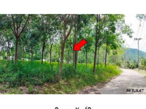 ขายที่ดินว่างเปล่า ถนน สายตลิ่งงาม-ทะเล-หัวถนน (ทล.4170) ตำบล หน้าเมือง อำเภอ เกาะสมุย จังหวัด สุราษฎร์ธานี