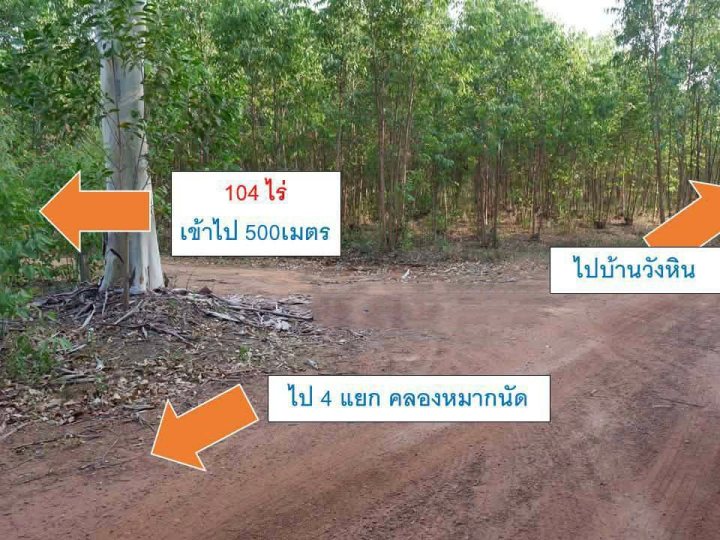 ที่ดินแปลงใหญ่ 104 ไร่ – โอกาส Mega Project จ.สระแก้ว อ.เมือง ต.บ้านแก้ง