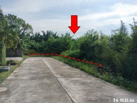 ขายที่ดินว่างเปล่า ถนน สายสุราษฎร์ธานี-นครศรีธรรมราช  ตำบล ท่าทองใหม่ อำเภอ กาญจนดิษฐ์ จังหวัด สุราษฎร์ธานี