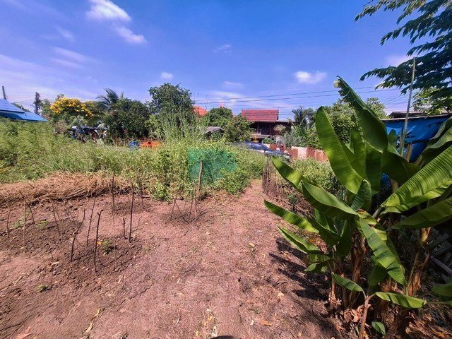ขายที่ดินถมสูงกว่าถนนแล้ว 50.3 ตรว.ใกล์วัดสะแก (หลวงปู่ดู่) แค่ 3 นาที ห้างเซ็นทรัล ติดถนนซอยคอนกรีต ต.ธนู อ. อุทัย อยุธยา