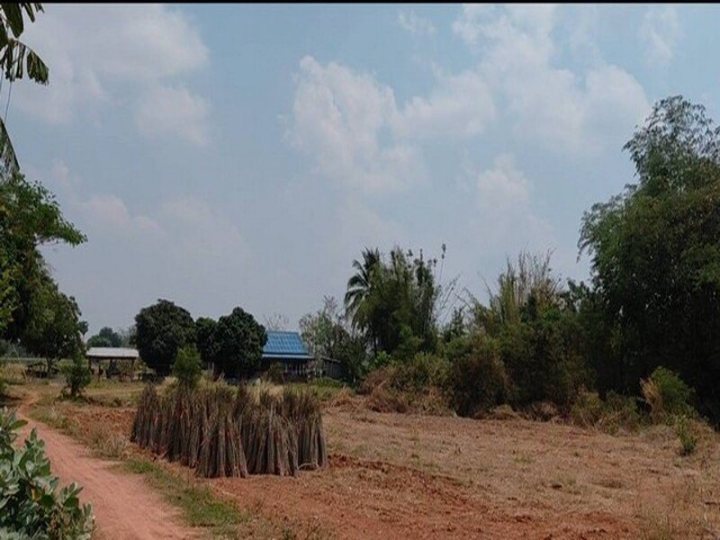 รูปที่ 2