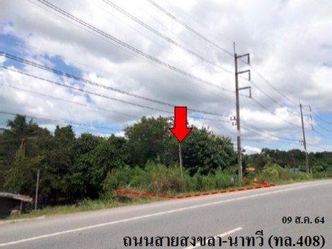 ขายที่ดินว่างเปล่า ถนน สงขลา-นาทวี (ทล.408) ตำบล จะโหนง อำเภอ จะนะ จังหวัด สงขลา