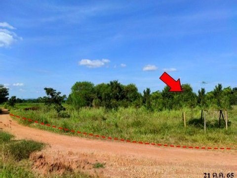 ขายที่ดินว่างเปล่า ถนน สายบ้านหนองบัวขาว-บัานโสกตลับ (ชย.3001) ตำบล โคกสูง อำเภอ เมืองชัยภูมิ จังหวัด ชัยภูมิ