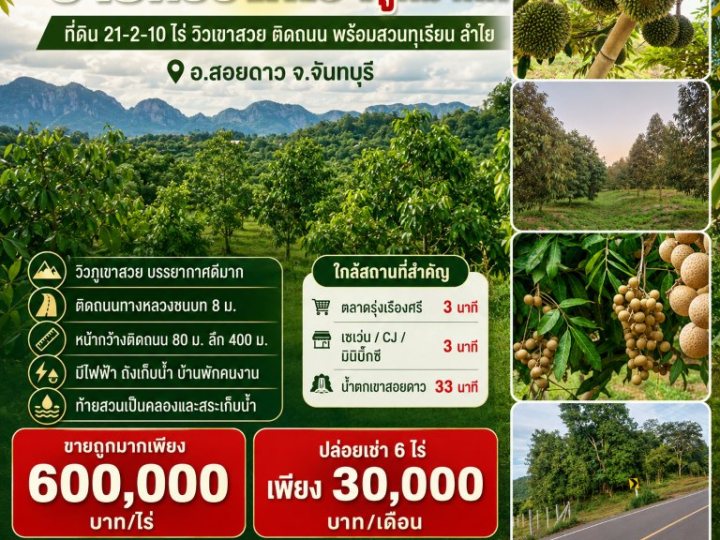 ขายหรือให้เช่าถูกมาก!! ที่ดิน 21-2-10 ไร่ วิวเขาสวย ติดถนน พร้อมสวนทุเรียน ลำไย อ.สอยดาว จ.จันทบุรี