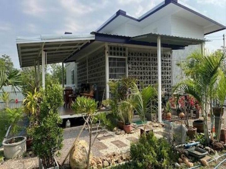 ขาย ที่ดิน ท่ายาง เพชรบุรี สถานที่ใกล้ มหาวิทยาลัยศิลปากร วิทยาเขตสารสนเทศเพชรบุรี 5 ไร่ 1 งาน 87 ตร.วา