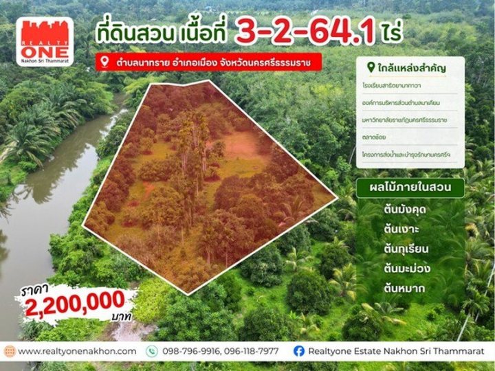 สวนผลไม้ ริมคลองบ้านตาล เนื้อที่ 3 - 2 - 64.1 ไร่ เหมาะสำหรับทำสวนเกษตร หรือทำบ้านสวน