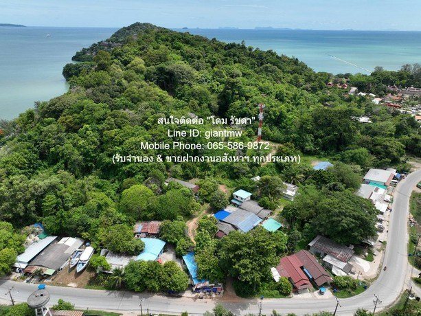 พื้นที่ดิน ขายที่ดินสวนป่า บนเนินไหล่เขา วิวทะเล (Seaview) เกาะสิเหร่ ภูเก็ต 5-0-48.7 ไร่ (ห่างชายทะเล 100 ม.), ราคา 76,826,250 บาท (15 ล้านบาท/ไร่)  35898750 THB   สนั่นวงการ