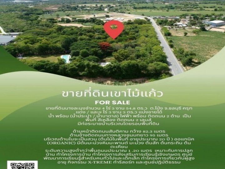 ขายที่ดิน ครุฑแดง(เขาไม้แก้ว) สามารถแบ่งขายได้ บางละมุง ชลบุรี